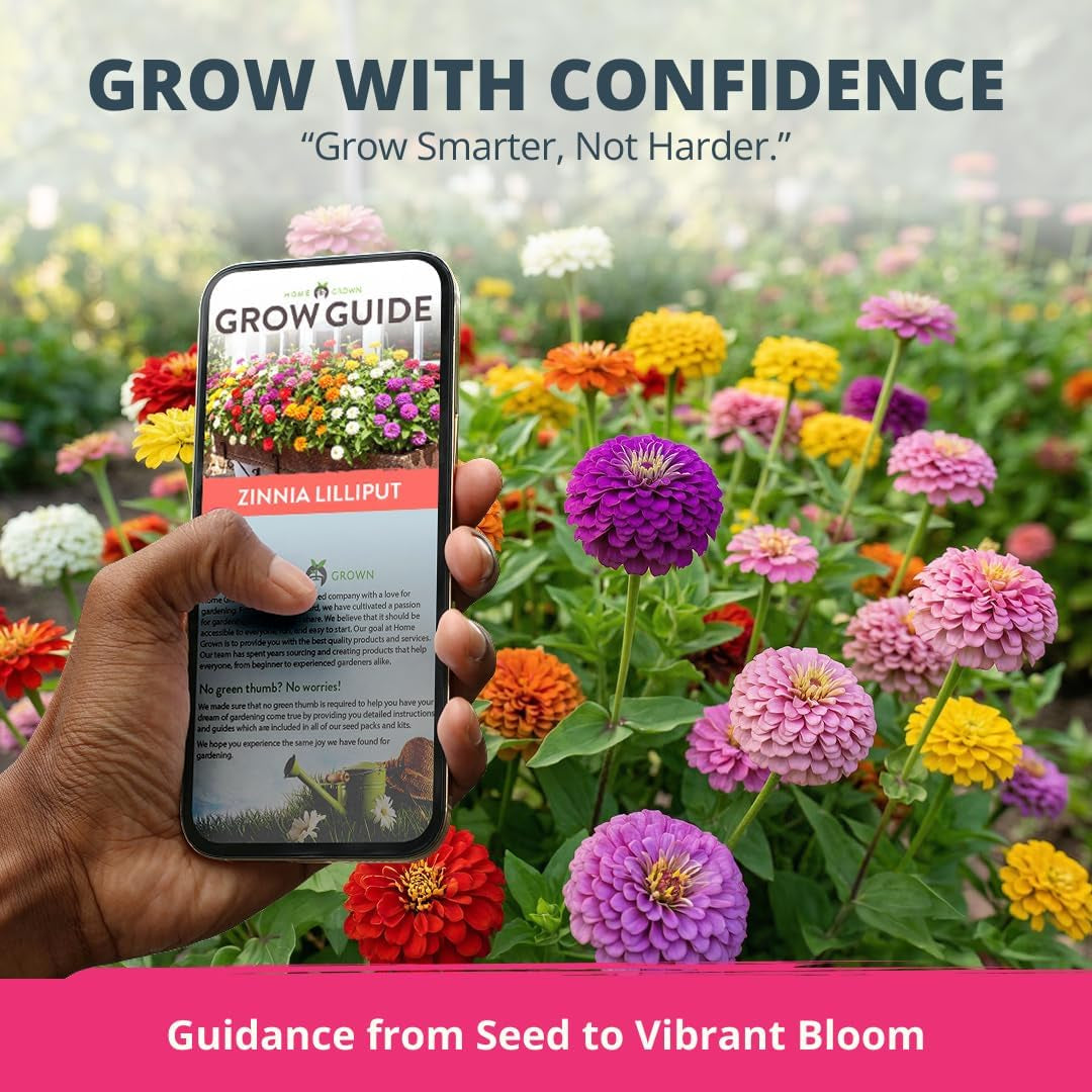 Zinnia Lilliput Mix Flower Seeds for Planting Spring 2026 – 2500 Seeds (2G) Zinnia Elegans – Colorful Zinnia Seed Mix for Garden Beds, Containers & Cut Flowers, Easy Grow Zinnia Seeds