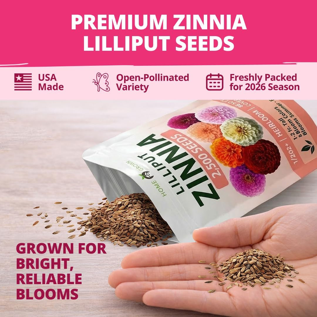 Zinnia Lilliput Mix Flower Seeds for Planting Spring 2026 – 2500 Seeds (2G) Zinnia Elegans – Colorful Zinnia Seed Mix for Garden Beds, Containers & Cut Flowers, Easy Grow Zinnia Seeds