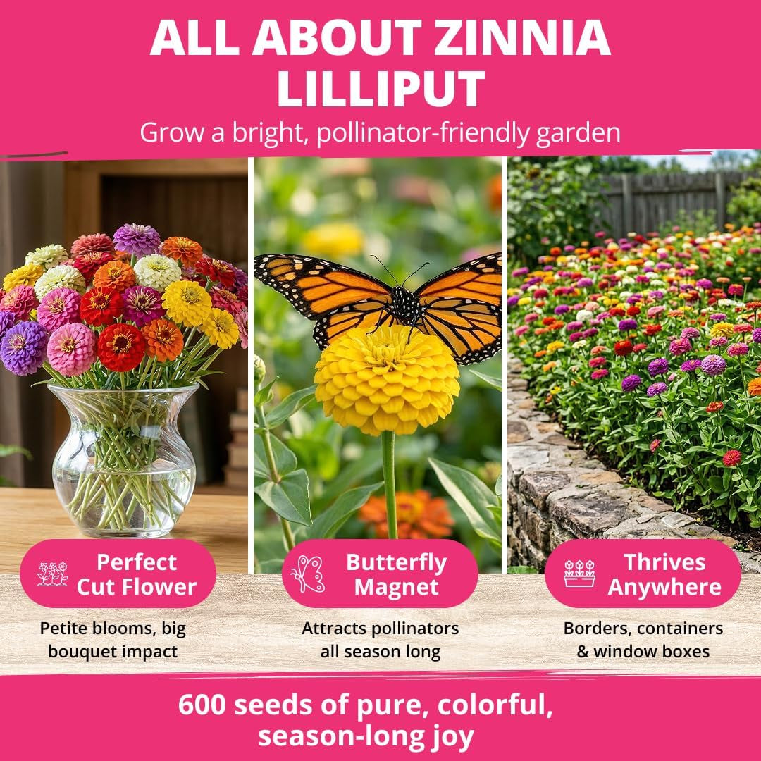 Zinnia Lilliput Mix Flower Seeds for Planting Spring 2026 – 2500 Seeds (2G) Zinnia Elegans – Colorful Zinnia Seed Mix for Garden Beds, Containers & Cut Flowers, Easy Grow Zinnia Seeds